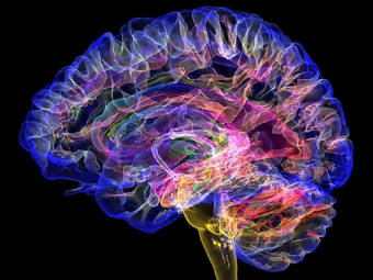 日屁一级片视频大脑植入物有助于严重头部损伤恢复